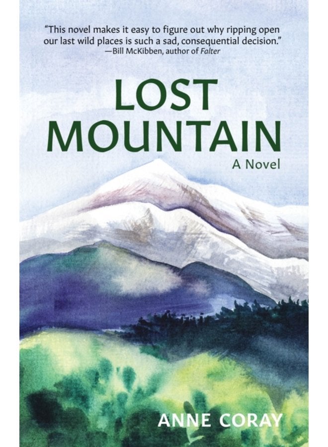 Lost Mountain A Novel - Paperback