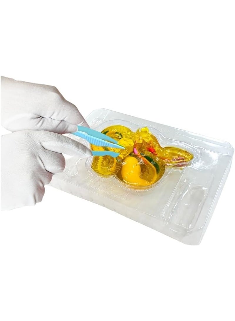 Slimy Dissect-It Rattlesnake Super Lab Synthetic Dissection Science Experiment Kit with Tools and Refill, 6+ Years - Image 2