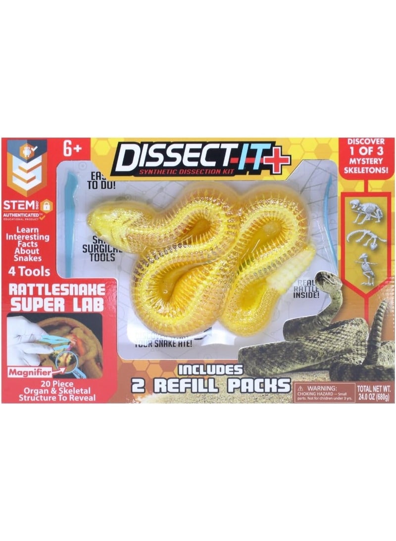Slimy Dissect-It Rattlesnake Super Lab Synthetic Dissection Science Experiment Kit with Tools and Refill, 6+ Years - Image 4