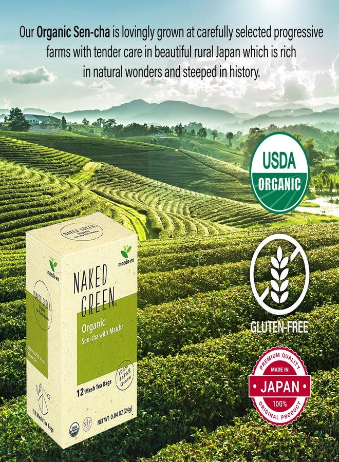 MAEDA-EN NAKED GREEN Organic Sen-cha with Matcha 12 Tea Bags Hot or Cold Drink Green Tea Japanese Origin Individually Wrapped Teabags 08201 1pk - Image 3