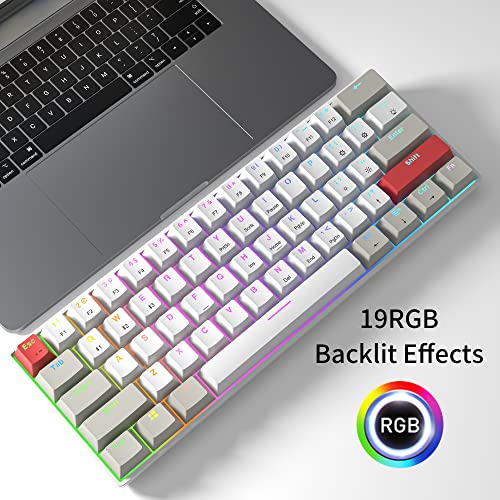 Newmen GM610 60% Wireless Mechanical Keyboard,Wired/Bluetooth/2.4G RGB Backlit,61 Anti-Ghosting Keys,Programmable,Hot-Swappable Gaming Keyboard,for PC Windows Mac Laptop Computer(Linear Red Switch) - Image 3