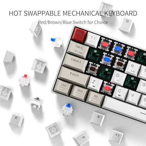 Newmen GM610 60% Wireless Mechanical Keyboard,Wired/Bluetooth/2.4G RGB Backlit,61 Anti-Ghosting Keys,Programmable,Hot-Swappable Gaming Keyboard,for PC Windows Mac Laptop Computer(Linear Red Switch) - Image 2
