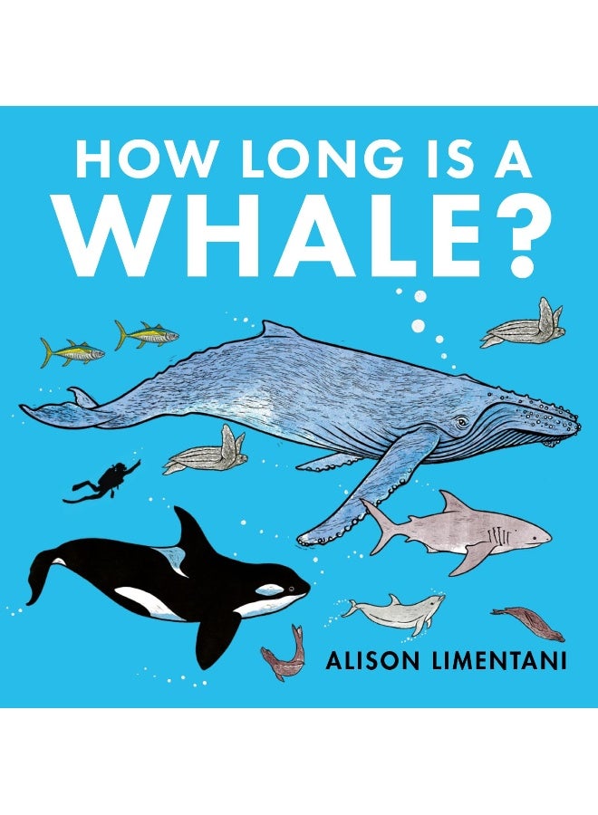 How Long is a Whale?
