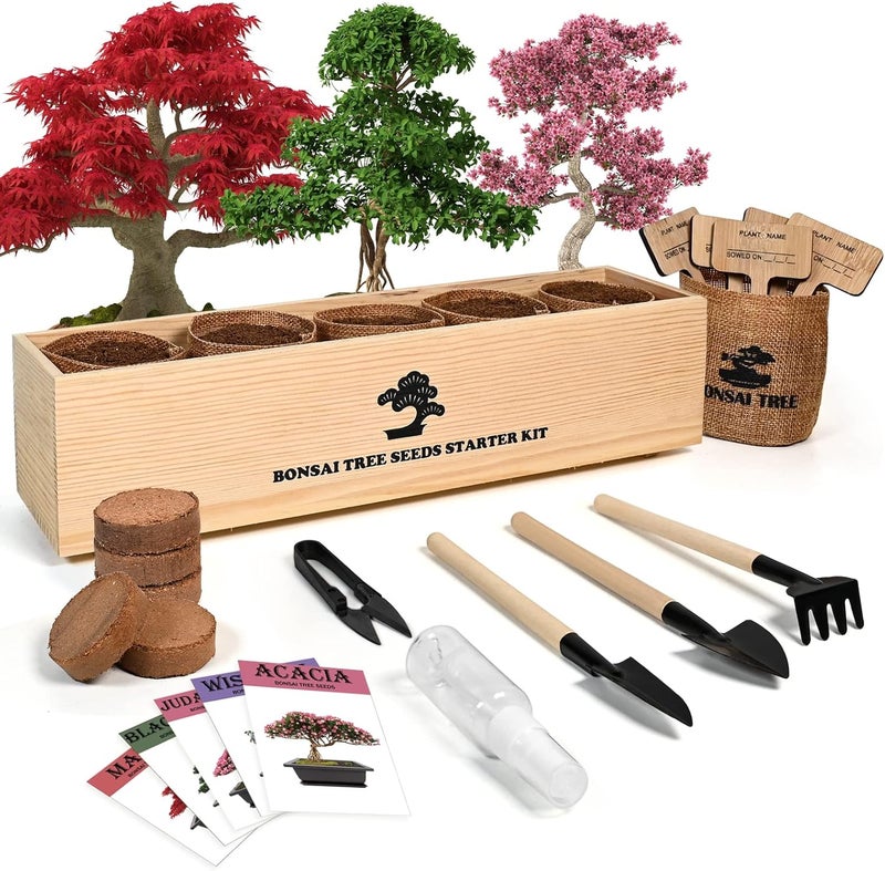 Meekear Bonsai Tree Kit with Complete Growing Starter Kit, Great Potted Growing DIY Gift for Adults - Image 1