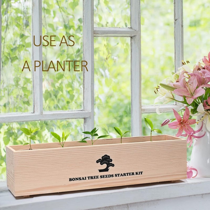 Meekear Bonsai Tree Kit with Complete Growing Starter Kit, Great Potted Growing DIY Gift for Adults - Image 5