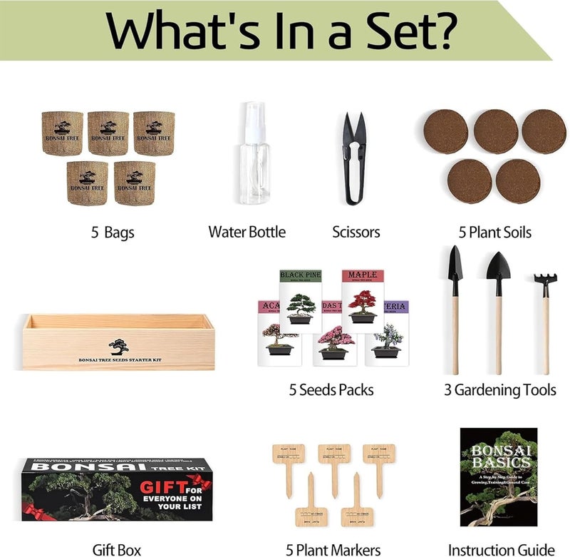 Meekear Bonsai Tree Kit with Complete Growing Starter Kit, Great Potted Growing DIY Gift for Adults - Image 2