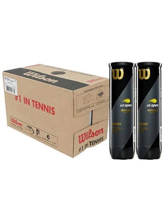WILSON US Open XD 2 Can Tennis Ball  (Standard, Pack of 6) - pzsku/ZE16778DD810FD2DC12A7Z/45/1749917394/be69c943-68fa-45b8-9dc9-0300d208753c