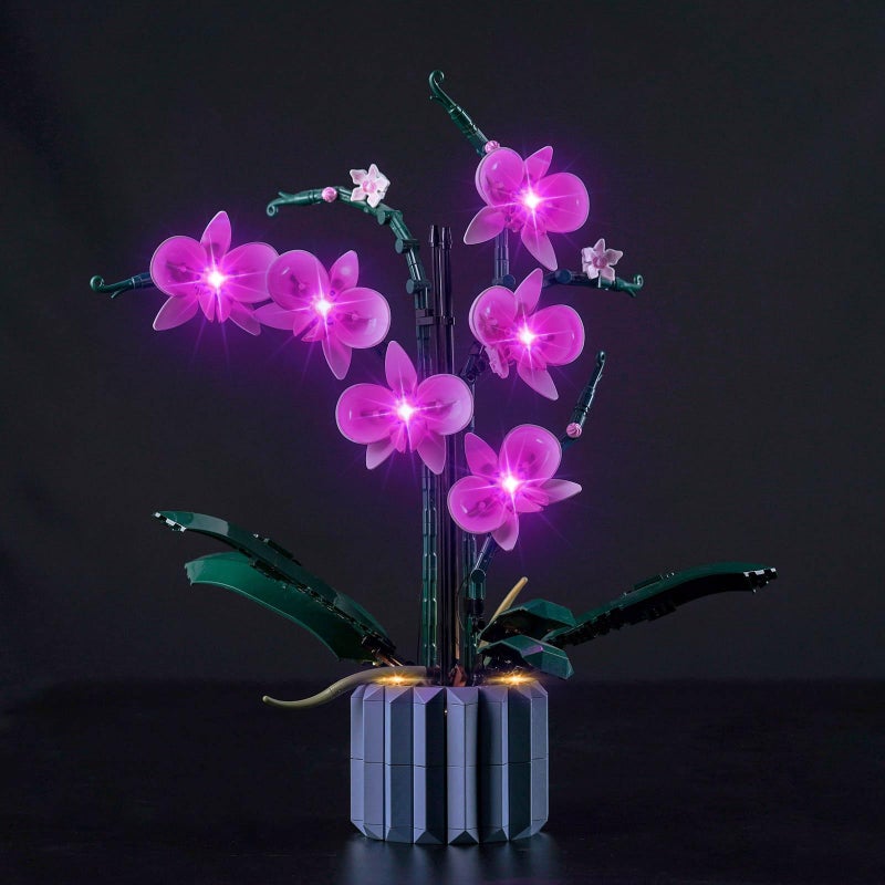 Hilighting Upgraded Light Kit for Lego Orchid Artificial Plant Building Set Compatible with Lego 10311 Best Gifts for Adults Model Not Included - Image 2