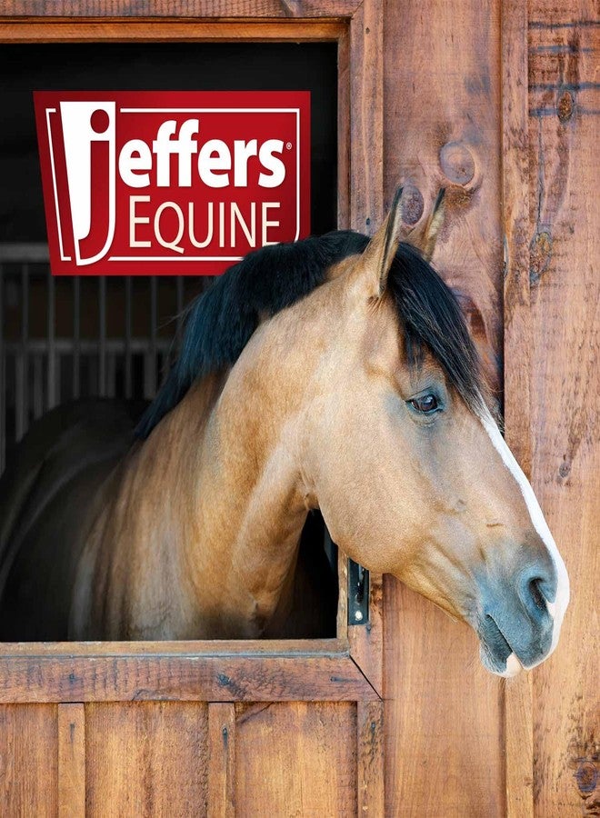 Jeffers Metal Horse Bridle Storage Bracket, Red - PVC Coated Wall Mounted Hanger for Tack Room, Stable, Barn, Trailer - Equestrian Halter, Reins, & Tack Organizer, Horse Barn Accessories - Image 5