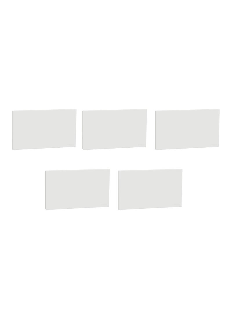 Schneider Electric Schneider Electric Blank Plate, AvatarOn C, 2 gang, white - Pack of 5 