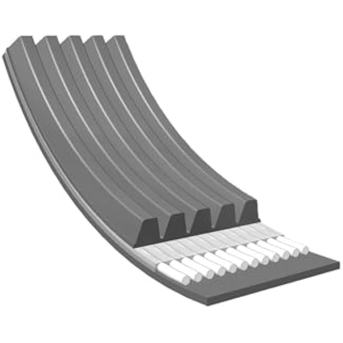 050 005 1300 VRibbed أحزمة