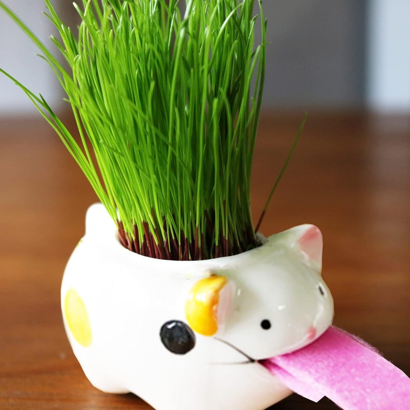 Luckam 3Pack Self Watering Planter Pots, Cute Tongue Animal Planters Ceramic Plant Pot for Indoor Outdoor Decoration Home Office Decor Window Garden Gifts - Image 4