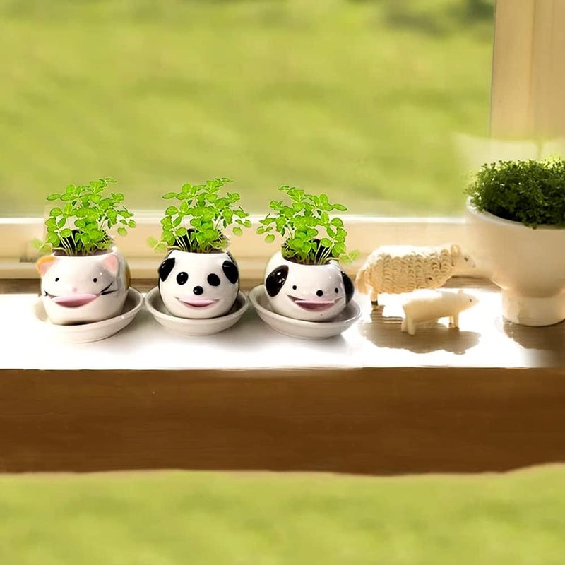 Luckam 3Pack Self Watering Planter Pots, Cute Tongue Animal Planters Ceramic Plant Pot for Indoor Outdoor Decoration Home Office Decor Window Garden Gifts - Image 3