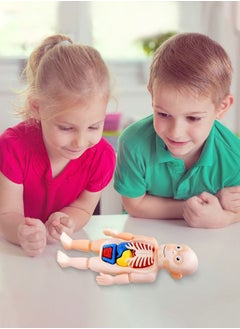 Kids Early Educational Learning Toys Human Organs Model with Removable Parts ,17 Pcs Human Body Model DIY Assembly Science Kits Toys for Boys Girls Preschool Learning Toys - pzsku/ZE16E77A1445E15F4C803Z/45/_/1660737342/b2185fc0-d62b-4153-baf9-9cb825f4b537