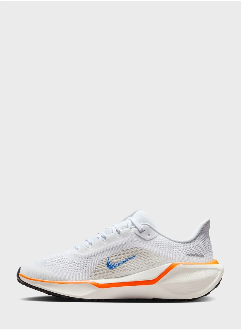 Nike Youth Air Zoom Pegas 41 Fp