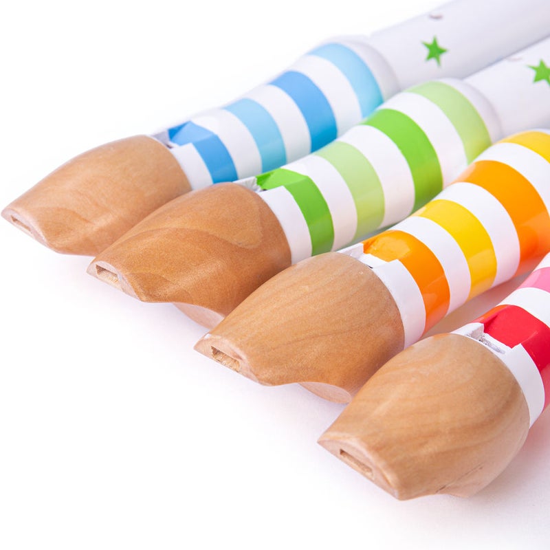BIGJIGS Recorder (12) Bj924