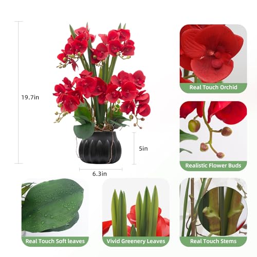 CXGS Artificial Orchid Flower Plant 197 Real Touch Faux Orchids in Ceramic Vase Red Fake Phalaenopsis Flower Arrangement Silk Orchids with Stems for Centerpiece Table Home Indoor Decor - Image 3