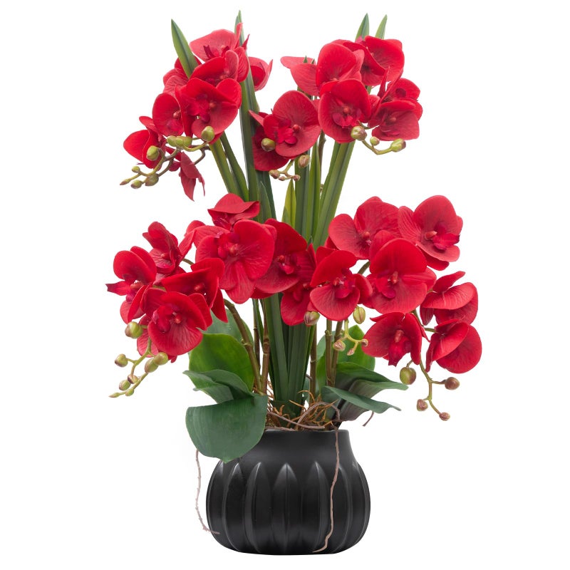 CXGS Artificial Orchid Flower Plant 197 Real Touch Faux Orchids in Ceramic Vase Red Fake Phalaenopsis Flower Arrangement Silk Orchids with Stems for Centerpiece Table Home Indoor Decor - Image 2
