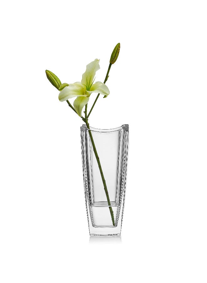 مزهرية كريستال بارون، حامل زهور زجاجي شفاف 11.75 بوصة - Image 4