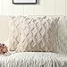 MADIZZ Madizz Pack of 2 Soft Plush Short Wool Velvet Decorative Throw Pillow Covers Luxury Style Cushion Case Pillow Shell for  - Image 2