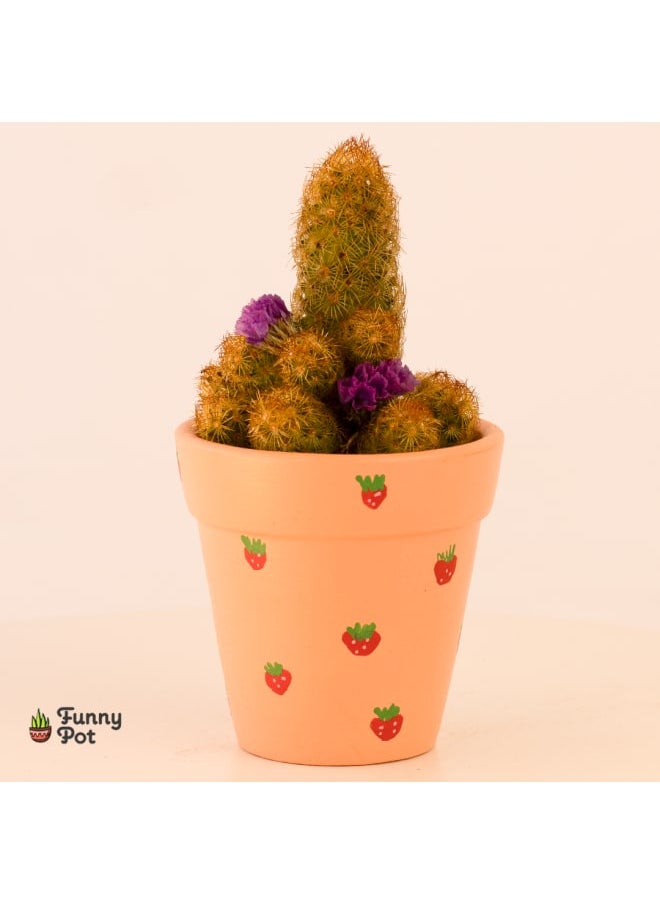 Funny Pot Cactus pottery pot 