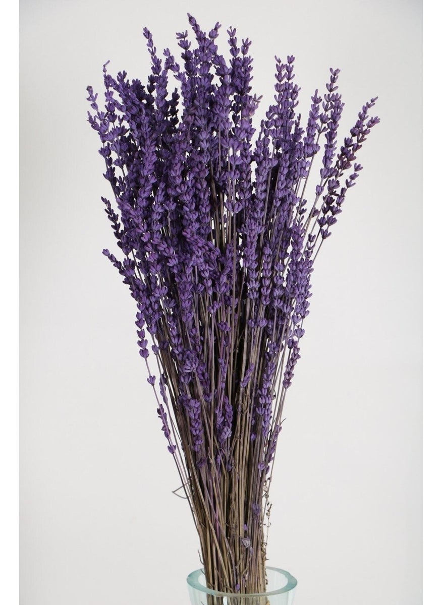 EC Shop Lady's Workshop Shock-Proof Spill-Proof Real Lavender Bunch Purple (100 Gr) 