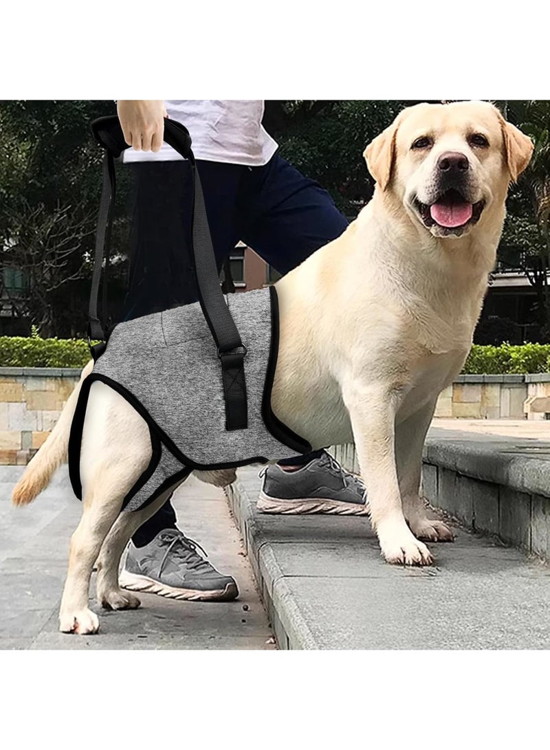 SOLARAE Dog Lifting Harness, Dog Lifting Harness for Back Legs, Dog Lifting Harness to Lift Pets Hind Front Rear for Canine and Old K9 Cruciate Ligament Rehabilitation, Rear Legs Mobility(L) - Image 4
