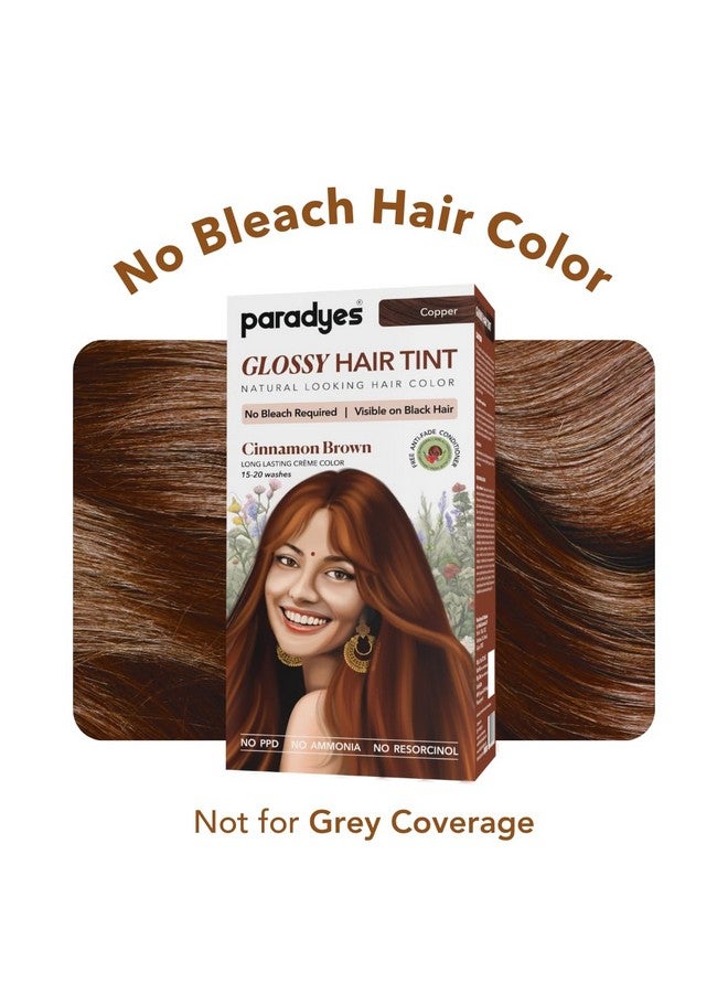 Paradyes No Bleach Cinnamon Brown Glossy Hair Tint, Ammonia-Free Formula for Natural Black Hair, Visible on Natural Black Hair, Includes Anti-Fade Conditioner for Long-Lasting Shine - Image 2
