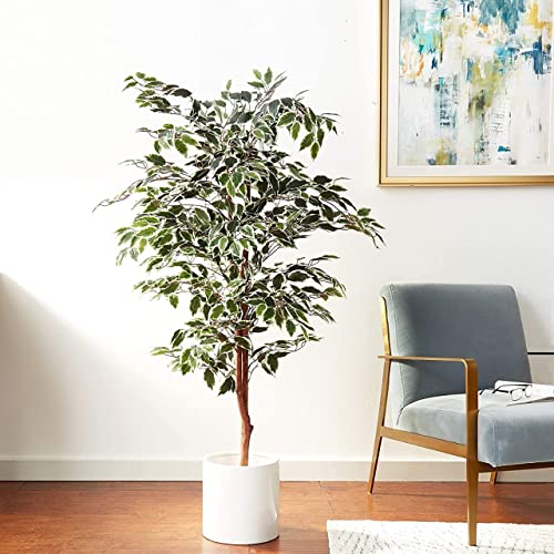 Fox & Fern Artificial Plants (Ficus Variegated 180cm) - Image 4