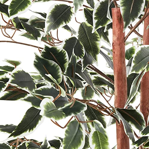 Fox & Fern Artificial Plants (Ficus Variegated 180cm) - Image 3