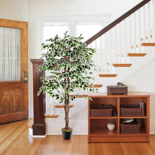 Fox & Fern Artificial Plants (Ficus Variegated 180cm) - Image 5