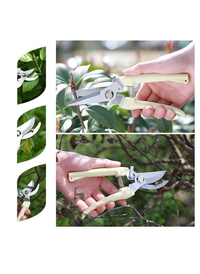 Generic Garden Pruning Shears Set - 2 Pack, 1 Bypass Pruner+1 Straight Blade Scissors, Sharp Garden Shears for Cutting Flowers, Trimming Plants, Bonsai, Fruits Picking  - Image 5