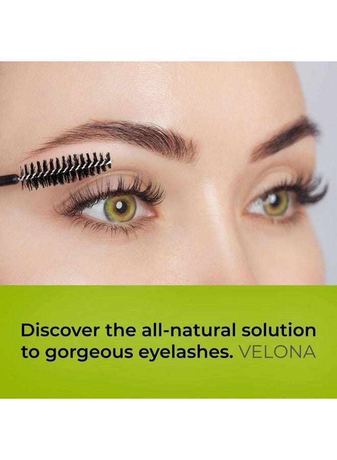 velona Usda Certified Organic Castor Oil2 Oz Stimulate Growth Eyelashes Eyebrows Hair Cold Pressed Natural Oil Usp Grade Hexane Free Lash Boost Serum Caster Starter Kit… - Image 2