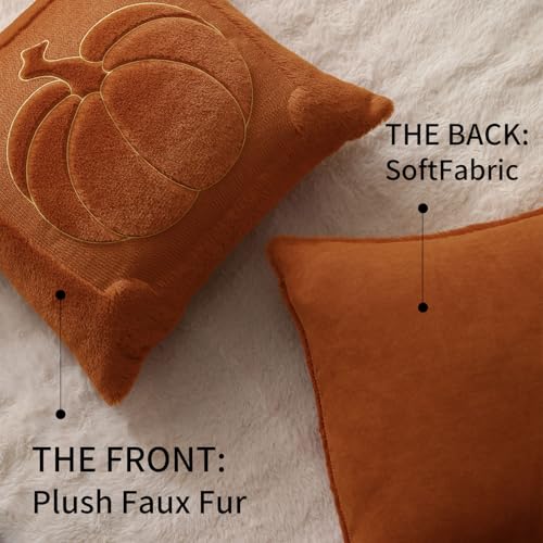 Allorry Fall Pillow Covers 18x18 Set of 2 Rust Pumpkin Throw Pillow Covers Soft Plush Faux Fur Fall Decorations Cushion Covers for Sofa Bedroom Living Room Autumn Thanksgiving Home Decor PT009C18 - Image 3
