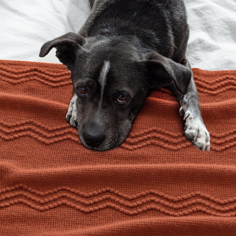 MIULEE Fall Rust Knitted Throw Blanket for Couch Boho Terracotta Textured Cozy Woven Blanket with Tassels for Sofa Chair Bed Living Room Acrylic Wave Pattern 60"x80" - Image 5