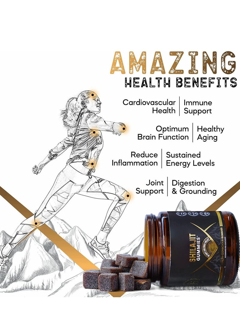 Shilajit RX Organic SHILAJIT Gummies by | Organic Pomegrenate Oil Flavor | Cane Sugar Free, Sweetened by Organic Manuka Honey | Clean Formula | Heart & Brain, Cellular Health 30 Healthy Gummies  - Image 3