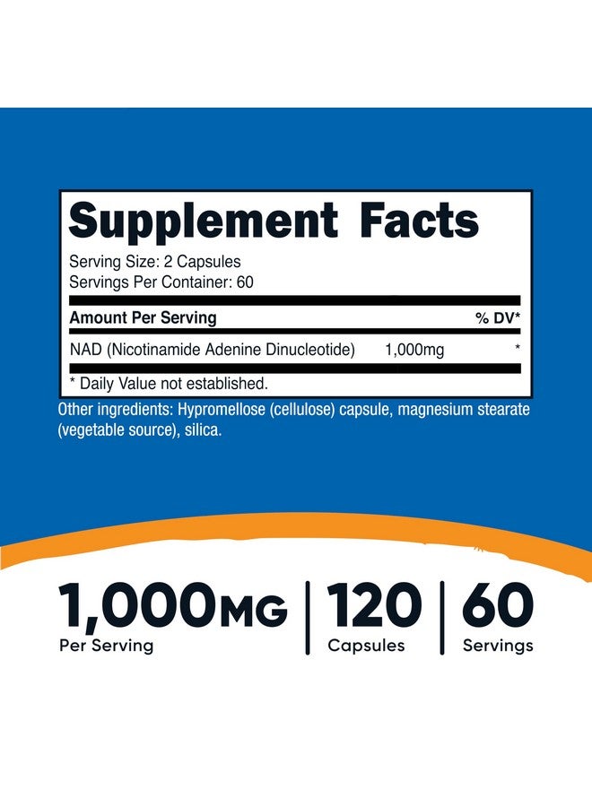 Nutricost مكمل نوتريكوست NAD+ 1,000 ملغ لكل حصة، 120 كبسولة (نيكوتيناميد أدينين ثنائي النوكليوتيد) - 60 حصة، خالي من الغلوتين، نباتي - Image 2