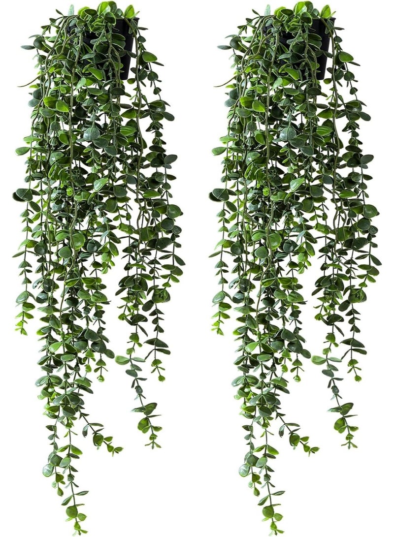 ALAMAREQ Artificial Hanging Plant 2 Pcs Faux Plant Ivy Vine Faux Eucalyptus Vines Fake Potted Greenery for Wall Living Room Home Shelf Office Bathroom Outdoor Indoor Decor - Image 1