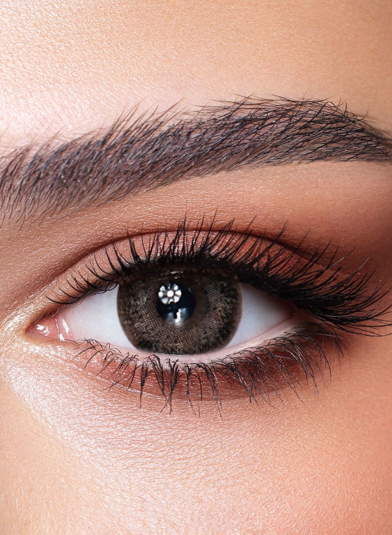 Bella Ashbrown Oneday Color Contact Lenses - 10 Lenses - Image 1