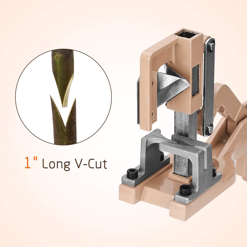 FUNTECK V-Cut Grafting Tool for Large Branches Full Metal Body with SK5 Blade Ideal for Fruit Tree Grafting - Image 3
