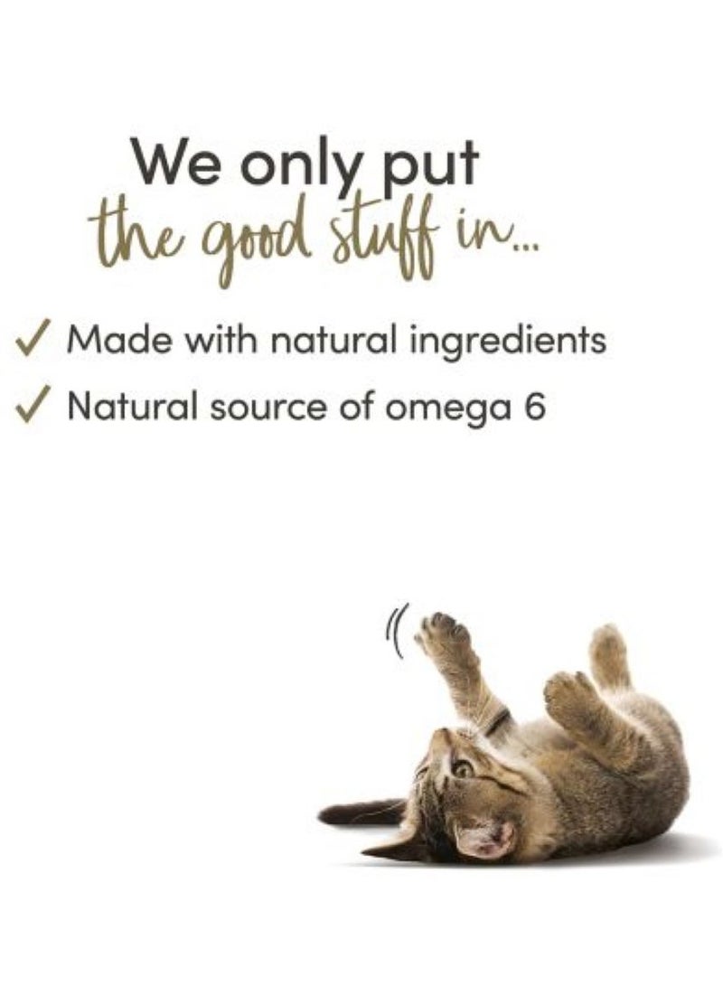 Applaws Cat Adult Wet Food With Tuna Fillet Flavor 70g Pack Of 6 - Image 3