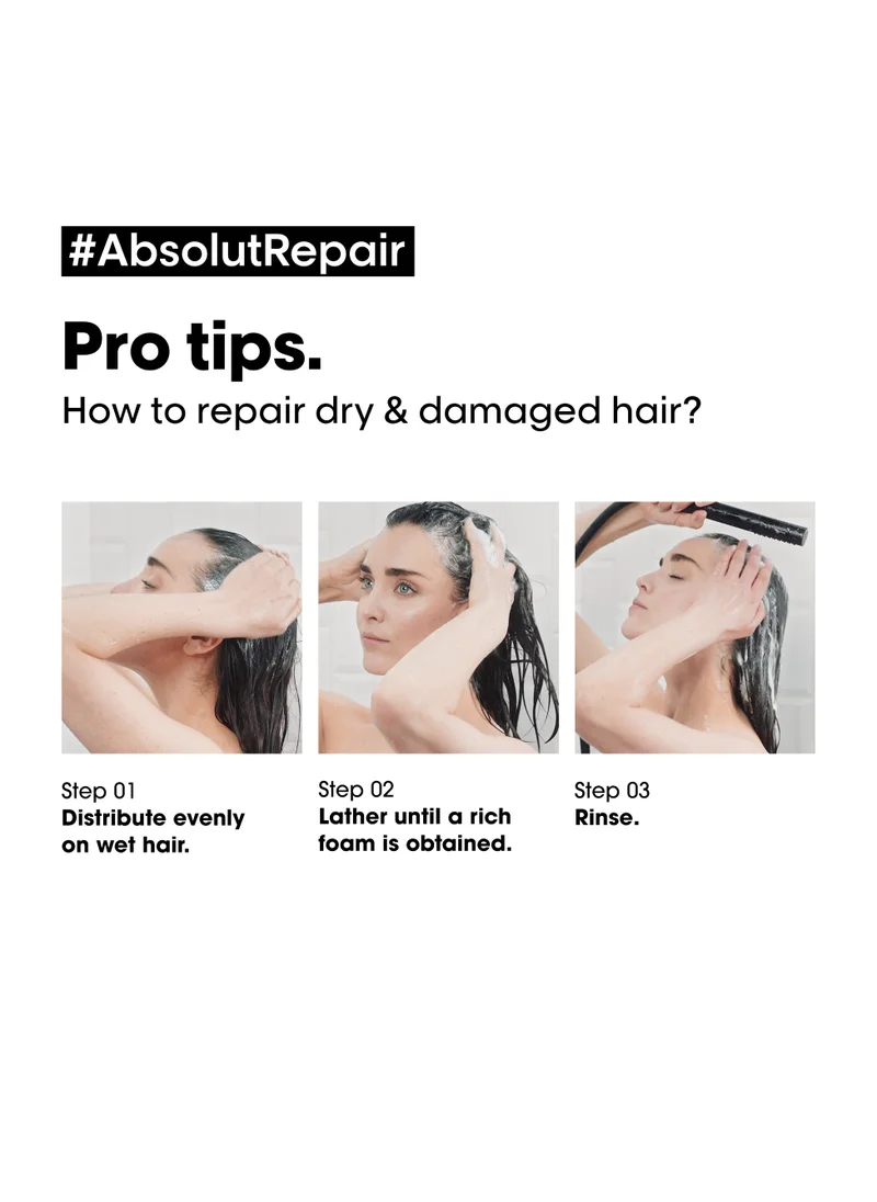 لوريال بروفيسيونال Absolut Repair Shampoo And Mask Copack, Savings 31%
