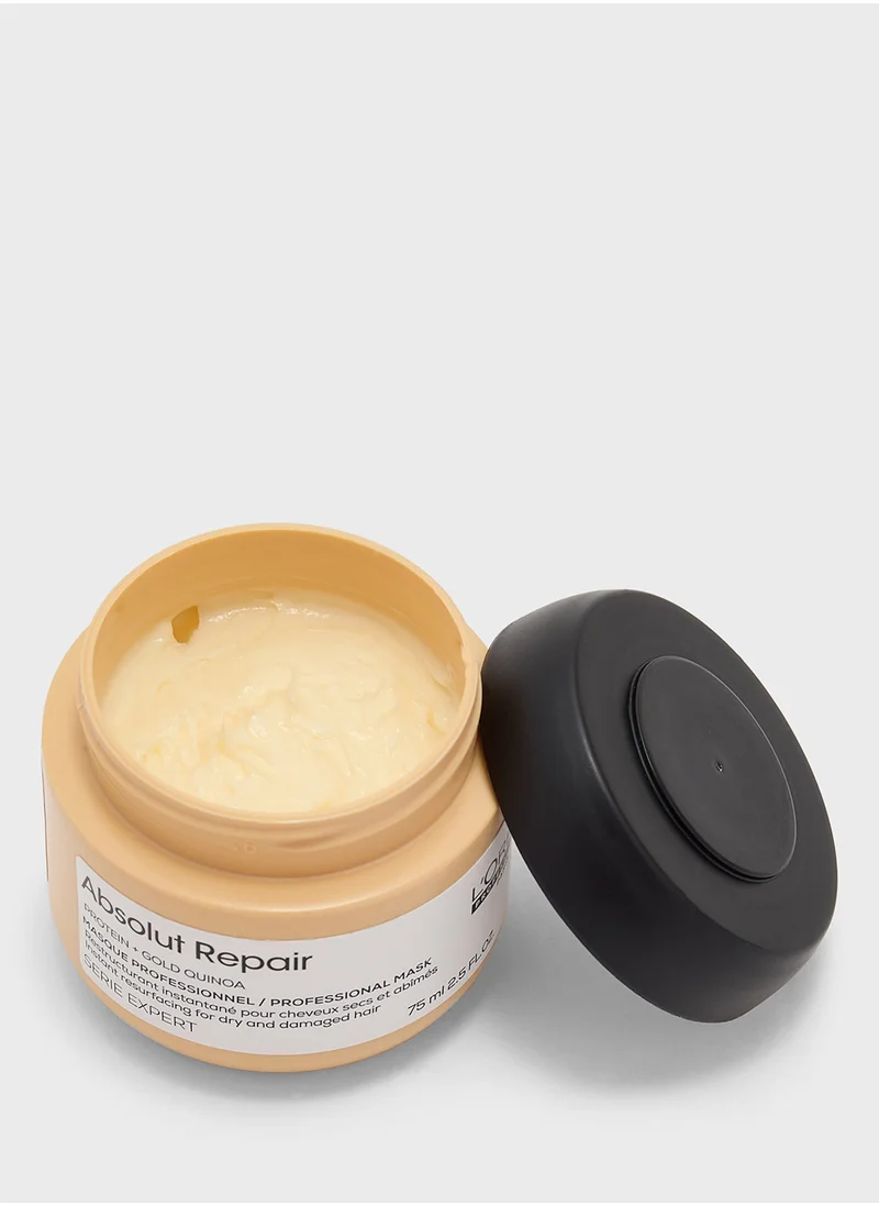 لوريال بروفيسيونال Absolut Repair Shampoo And Mask Copack, Savings 31%