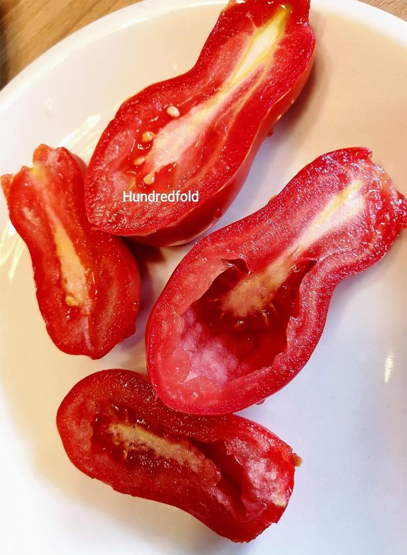 San Marzano Paste Tomato 30 Vegetable Seeds - Heirloom Italian Plum Tomato for Paste, Sauce and Canning