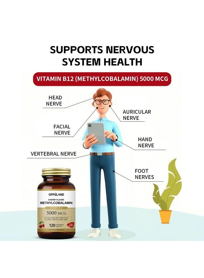oppuland Methyl B-12 5000mcg Chewable with Folate - Vitamin B12 Methylcobalamin Sublingual Tablets - Supports Energy & Brain Function - Vegan Supplement - Cherry Flavor - 120 Count - Image 2