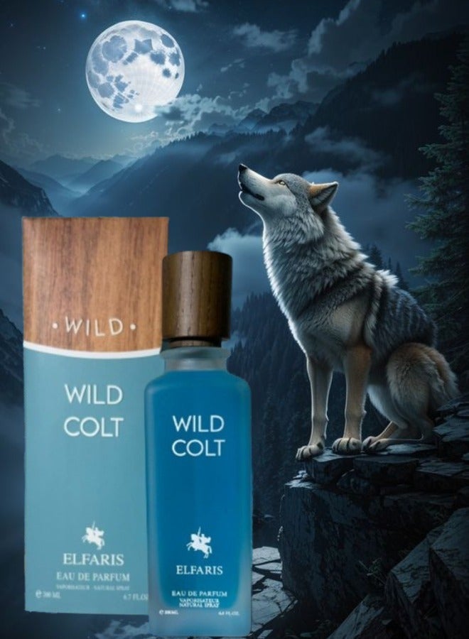 FARIS 2 Pieces Wild Colt Perfume 200ml EDP - Image 2