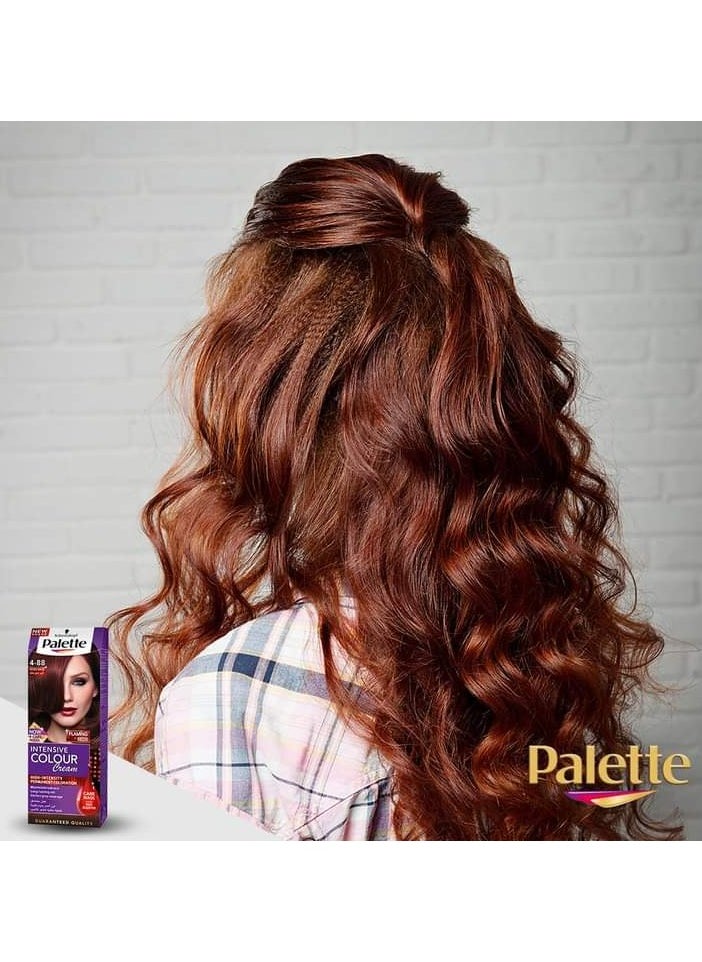 Palette - Palette Intensive Color Cream 6 - 80 Marsala Brown 110 ml - Image 1