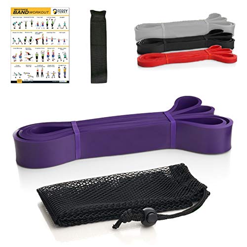 FEGSY Resistance Band for Exercise, Workout, and Stretching for Men and Women Pull up Bands with Door Anchor, Workout Guide, and Carrying Bag (Purple (35-85 LBS, Heavy)) - Image 1