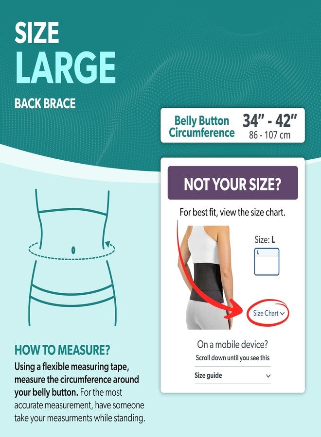 BraceAbility Elastic & Neoprene Compression Back Brace | Lumbar, Waist and Hip Support Belt for Sciatica Nerve Pain, Low Back Ache & Pain Relief while Sleeping, Working, Exercising, Walking (Large) - Image 2