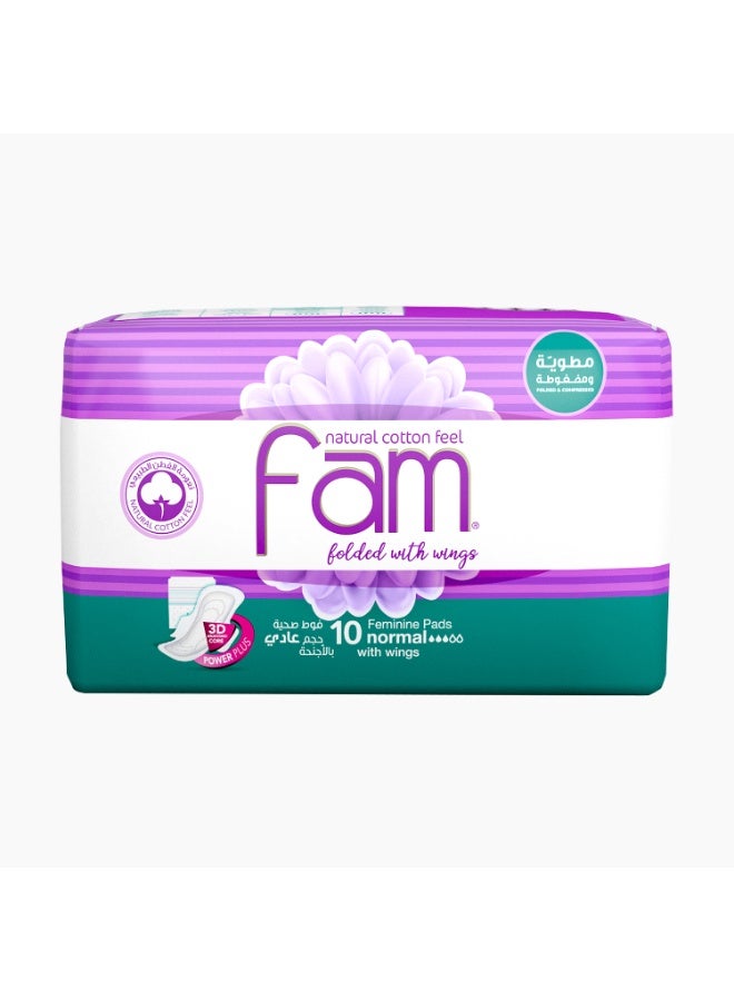 Fam Maxi Sanitary Pad Folded with Wings  Normal 10 pads - Image 1